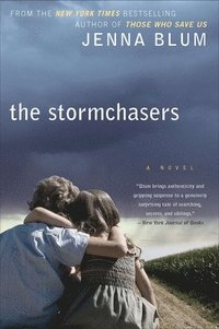 bokomslag The Stormchasers