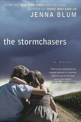 The Stormchasers 1