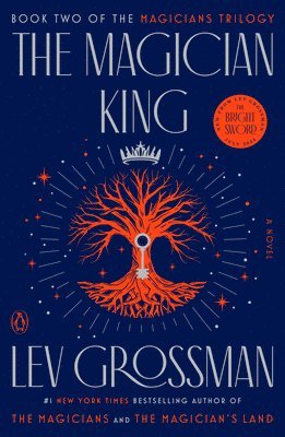 bokomslag Magician king - a novel