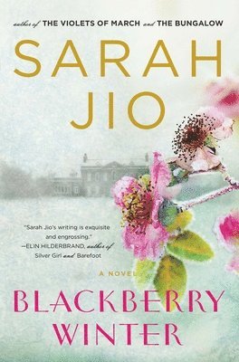 Sarah Jio - Blackberry Winter, Häftad