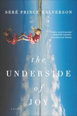 Sere Prince Halverson - The Underside of Joy, Häftad