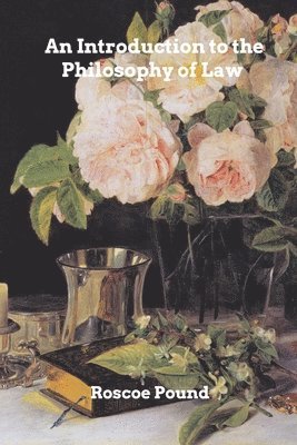 bokomslag An Introduction to the Philosophy of Law