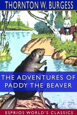 bokomslag The Adventures of Paddy the Beaver (Esprios Classics)