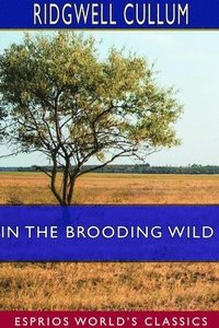 bokomslag In the Brooding Wild (Esprios Classics)