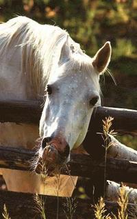 bokomslag Kids Petite Equine Journal