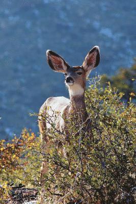 bokomslag Kids Deer Journal