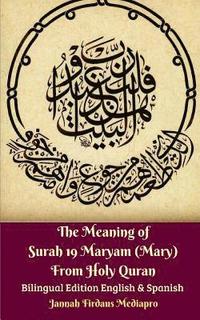 bokomslag The Meaning of Surah 19 Maryam (Mary) From Holy Quran Bilingual Edition English and Spanish