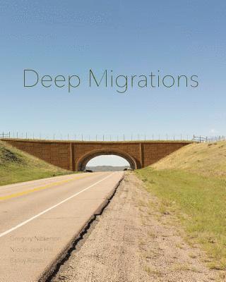 bokomslag Deep Migrations