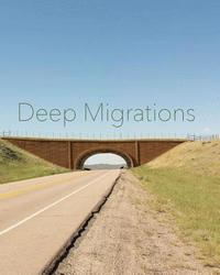 bokomslag Deep Migrations