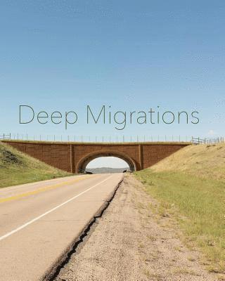 bokomslag Deep Migrations