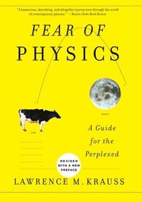 bokomslag Fear Of Physics