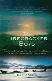 bokomslag The Firecracker Boys