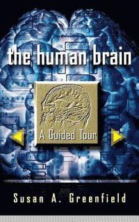 bokomslag Human Brain: A Guided Tour