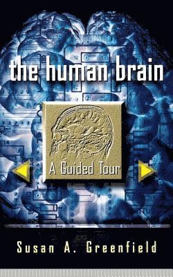 bokomslag The Human Brain