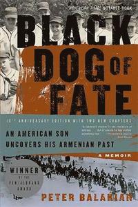 bokomslag Black Dog of Fate