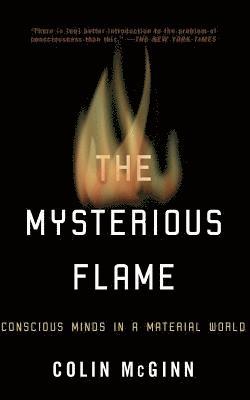 Colin McGinn, Colin Mcginn - Mysterious Flame, Häftad