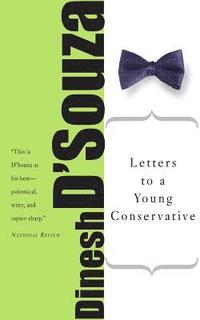 bokomslag Letters to a Young Conservative