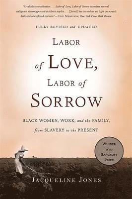 bokomslag Labor of Love, Labor of Sorrow: Black Women, Work, and the Family, from Slavery to the Present