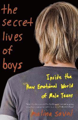 bokomslag The Secret Lives of Boys