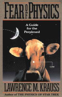 bokomslag Fear of Physics: A Guide for the Perplexed