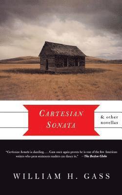 bokomslag Cartesian Sonata and Other Novellas