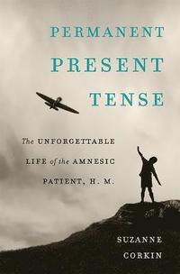 bokomslag Permanent Present Tense