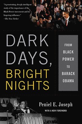 Peniel Joseph - Dark Days, Bright Nights, Häftad