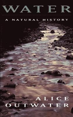 bokomslag Water: A Natural History
