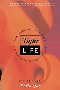 bokomslag Dyke Life