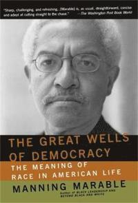 bokomslag The Great Wells Of Democracy