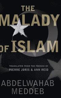 bokomslag Malady of Islam