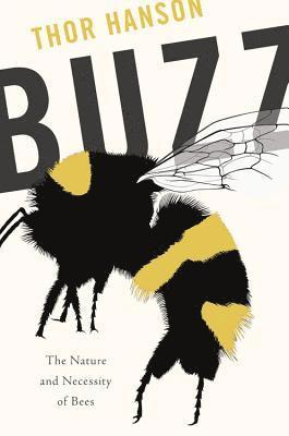 bokomslag Buzz: The Nature and Necessity of Bees
