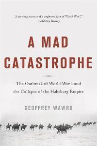 bokomslag A Mad Catastrophe