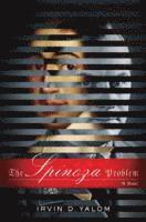 Spinoza Problem