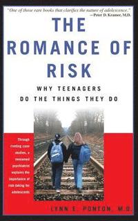 bokomslag Romance Of Risk