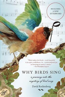 David Rothenberg - Why Birds Sing, Häftad