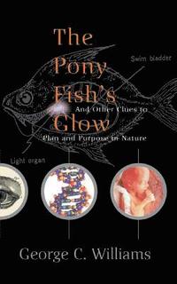 bokomslag The Pony Fish's Glow
