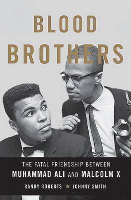 bokomslag Blood Brothers