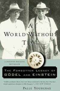 bokomslag A World Without Time