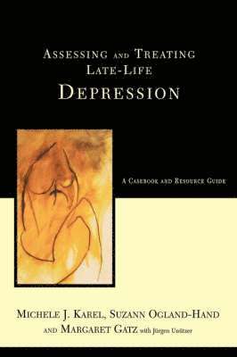 Assessing And Treating Late-life Depression: A Casebook And Resource Guide 1