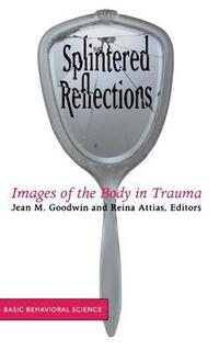 bokomslag Splintered Reflections