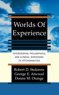 bokomslag Worlds Of Experience