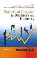 bokomslag Statistical Practice in Business and Industry
