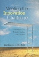 bokomslag Meeting the Innovation Challenge