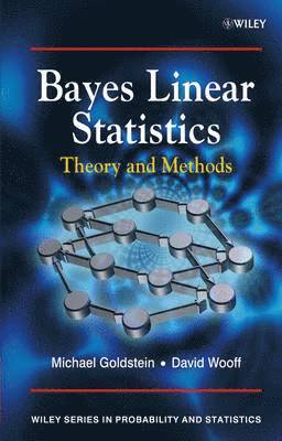 Michael Goldstein, David Wooff - Bayes Linear Statistics, Inbunden
