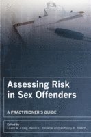 bokomslag Assessing Risk in Sex Offenders