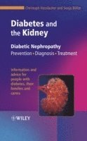 bokomslag Diabetes and the Kidney
