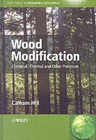 bokomslag Wood Modification