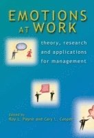 Payne, Cooper, Roy L. Payne, Cary Cooper CBE - Emotions at Work, Häftad