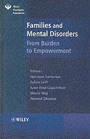 bokomslag Families and Mental Disorders